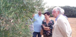 Muestran apoyo a municipios comarca de Montiel tras tormenta granizo