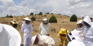 Una jornada permite al apicultor reciclarse en manejo y sanidad apícola