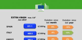 Pide investigar adulteración mercado único en sector del aceite de oliva
