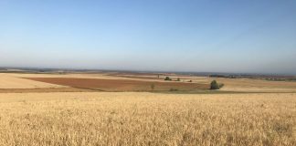 El ministro de Agricultura afirma que el Gobierno trabaja «cuenca por cuenca” para resolver el problema de la sequía sequía