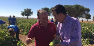 Prevé vendimia de 20-23 millones de hectolitros en Castilla-La Mancha