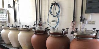 Primera vendimia en las tinajas de barro tecnológicas
