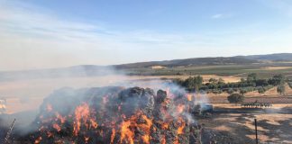 Detenido el presunto autor de los incendios en pacas de paja provocados en Guadalajara pacas guadalajara