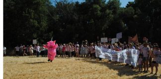 La Serranía de Cuenca se moviliza contra la ganadería industrial