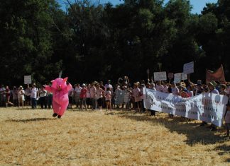 La Serranía de Cuenca se moviliza contra la ganadería industrial