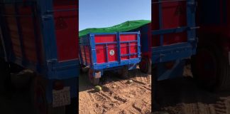 Robos de melones en La Mancha