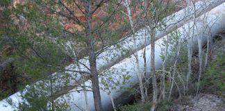 Convencido de que trasvase agua del Tajo al Levante es “insostenible”