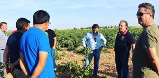 VOX reclama un plan nacional que palíe efectos de la sequía