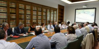 Confirmado: Cosecha de aceite de oliva de 2018/2019 fue de récord