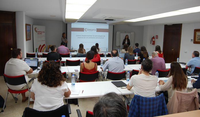 CURSO CAMARA CR