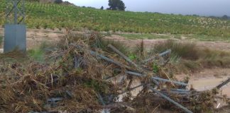 Califica de “ridícula” la respuesta del Gobierno tras la gota fría