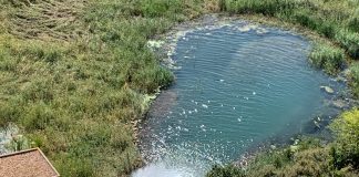 Abren desagüe del fondo del embalse de Peñarroya (Argamasilla de Alba)