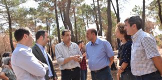 Trabajos restauración de zona incendio de Barchín del Hoyo, en breve