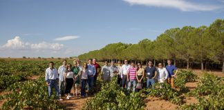 Importadores japoneses y latinoamericanos participarán en misión DO La Mancha