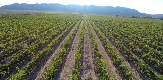 Ampliarán una bodega ubicada en Liétor (Albacete)