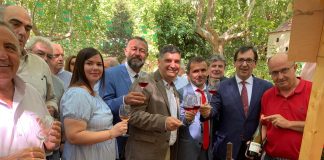 Diputación de Toledo apoya la Fiesta del vino de Méntrida