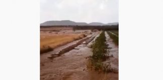 Intensa granizada y lluvia sobre viñedo de Valdepeñas