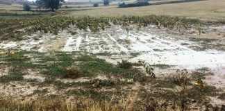 Las lluvias dejan hasta más de 100 litros en varias localidades de Castilla-La Mancha