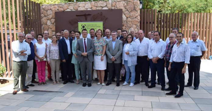 consejo recto cooperativas socuellamos