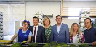 El melón con IGP de La Mancha, “clave” para el Gobierno de Castilla-La Mancha