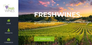 Freshwines, un proyecto de I+D para mejorar la frescura de los vinos españoles