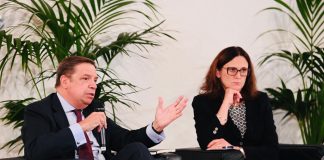 Planas destaca importancia de unidad en UE tras el Brexit