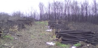 Ratificada emergencia obras de restauración en zonas afectadas incendio forestal Cuenca