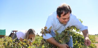 Paco Núñez traslada al sector vitivinícola de Castilla-La Mancha su apoyo