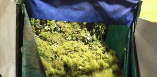 La cosecha de vino y mosto de Castilla-La Mancha no alcanzará los 20 millones de hectolitros