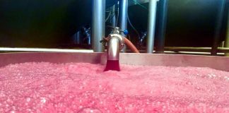 El mercado de ventas de vino, al alza, según apuntan desde El Progreso