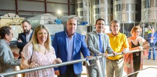 Prevé, al menos, un 30% menos de cosecha de uva