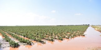 PP pide explicaciones sobre exclusión de Cuenca de ayudas por tormentas