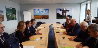 Subraya necesidad de mantener unidad y firmeza europea ante aranceles EEUU