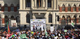 2.000 agricultores ciudadrealeños, en la manifestación por el olivar con ASAJA
