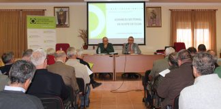 Estima producción de aceite en Castilla-La Mancha de 85.000-90.000 toneladas