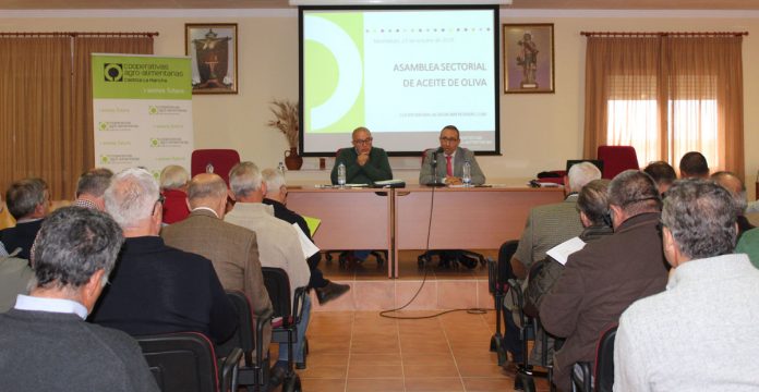 Asamblea Aceite de oliva