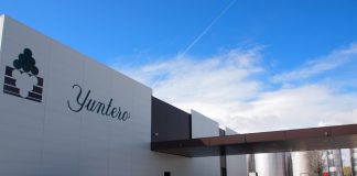 Yuntero finaliza vendimia con récord de uva, 153 millones de kilos