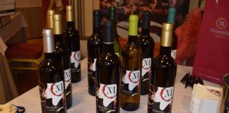 Los vinos de la DO Méntrida podrán utilizar el nombre Toledo