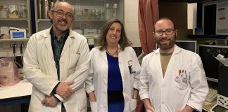 Un estudio demuestra que el vino es beneficioso para prevenir Alzhéimer