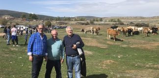Mañana comienza pago de 32 millones de PAC a agricultores Guadalajara