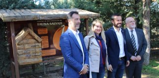 Destaca importante labor en recuperación de fauna silvestre y educación ambiental
