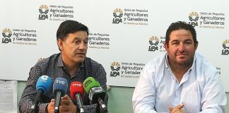 UPA Castilla-La Mancha pide “precios justos por un olivar vivo”