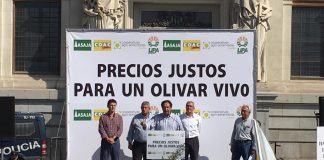 VIDEO: Pedro Barato (ASAJA), en manifestación olivareros en Madrid
