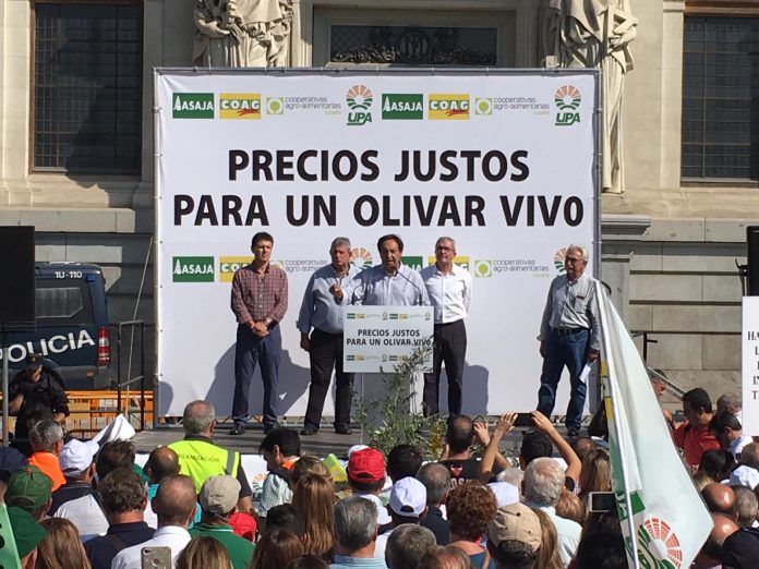 PEDRO BARATO MANIFA