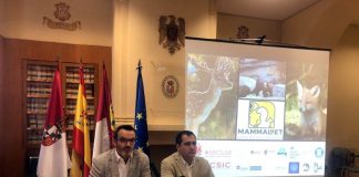IREC lidera el proyecto europeo MammalNet sobre fauna en su hábitat