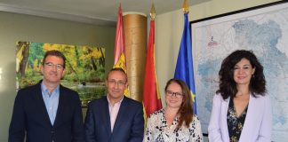 Piden ayudas PAC específicas que protejan a los sectores más vulnerables (olivar tradicional, girasol o ganadería extensiva)