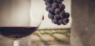 DO La Mancha entrega Premios ‘Vino y Cultura’, 5 de octubre