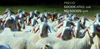 Octubre. Guadalajara y Molina de Aragon. Cursos Bienestar Animal APAG