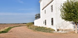 Acondicionan 17 kilómetros de caminos rurales de Daimiel (Ciudad Real)