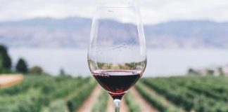 11 al 15 noviembre. Membrilla (Ciudad Real). Curso práctico de Cata de Vinos